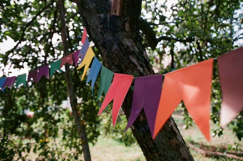 Brightly colored streamers hanging on a tree, creating a festive outdoor atmosphere.